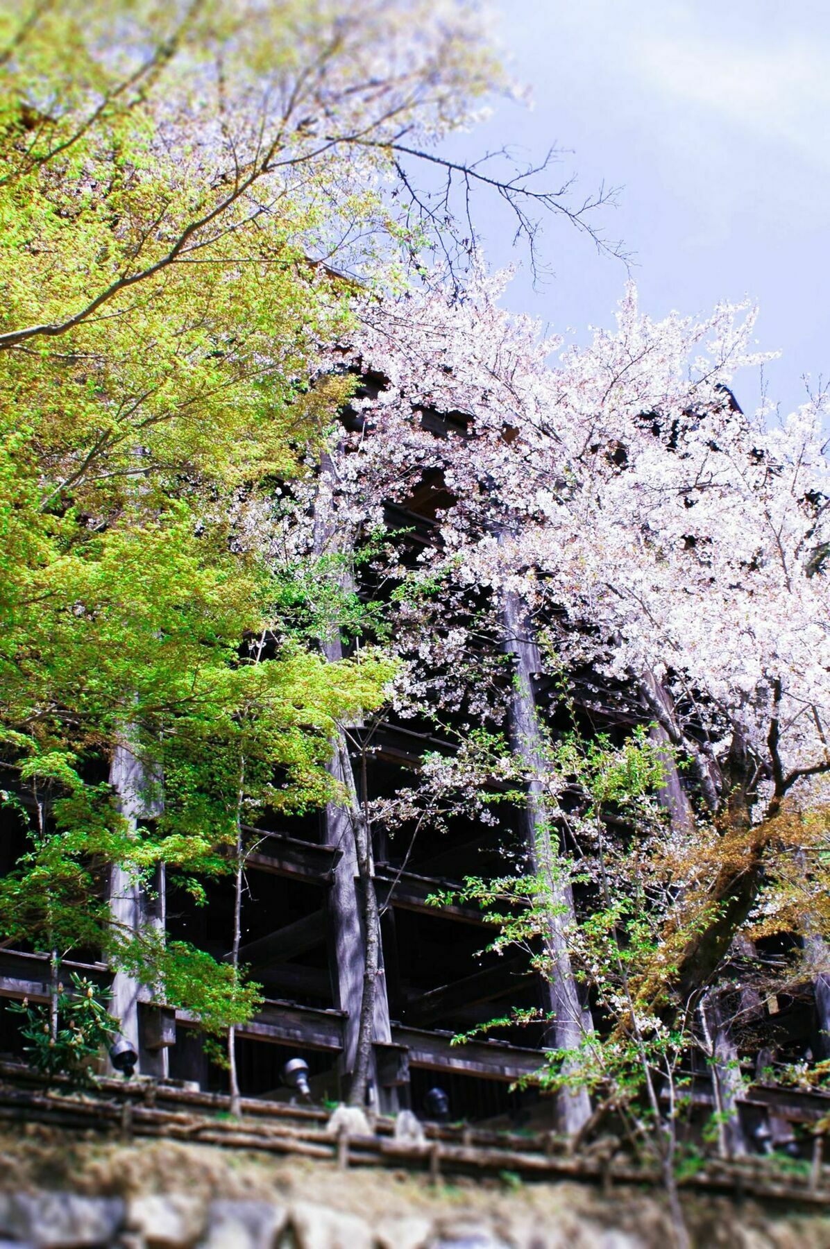 Stay Sakura Kyoto Machiya Akari Eksteriør billede